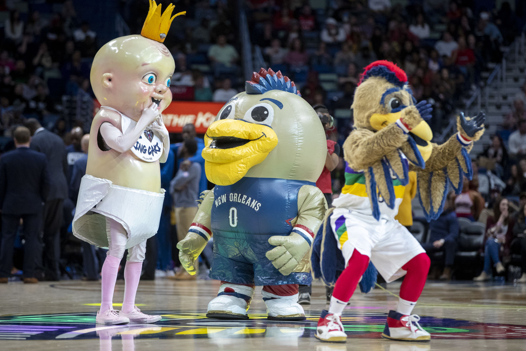 NO.pelicanwolves.020819.19.JPG